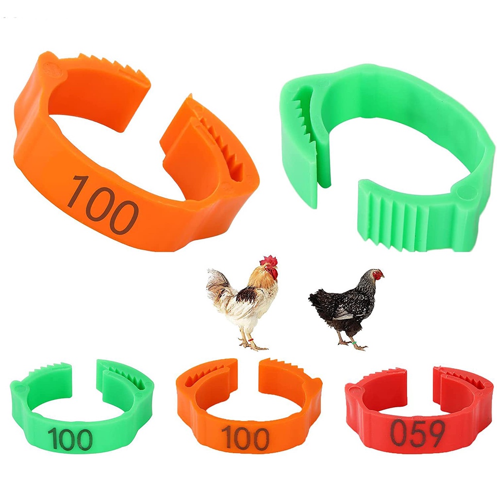 ถูกสุด💥ห่วงขาไก่ ห่วงล้อมขาไก่ ห่วงรัดขาไก่ สายคล้องขาไก่ เชือกรัดขาไก่ ห่วงล้อมขานก ห่วงคัดพันธุ์ สายคัดพันธุ์ - รูปที่ 3