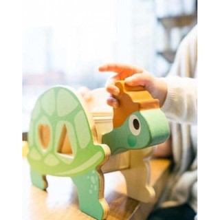 ของเล่นไม้ชุด Tortoise Shape Sorter บล็อกหยอดรูปทรงเต่าน้อย