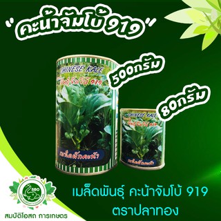 คะน้าจัมโบ้ 919 เมล็ดพันธุ์ (ตราปลาทอง) 80กรัม และ 500กรัม ตัวขายดี