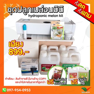 ชุดปลูกเมล่อนมินิ ระบบน้ำวนไฮโดรโปนิกส์ (ชุดปลูกไฮโดรโปนิกส์) by hydroponicgroup