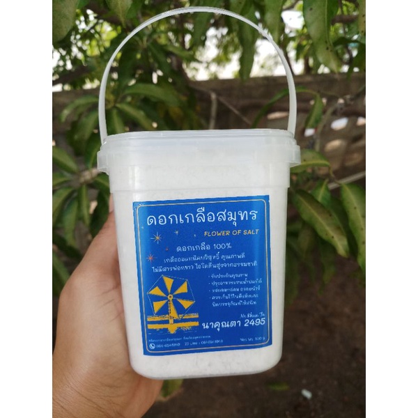 ดอกเกลือ คัดพิเศษ ขนาดกระปุกละ500กรัม ดอกเกลือสมุทร ดอกเกลือออแกนิคบริสุทธิ์ ไม่มีสารฟอกขาว