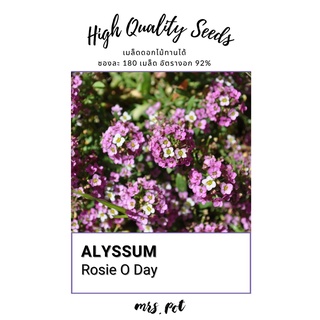 เมล็ดดอกไม้กินได้ Rosie O Day Alyssum