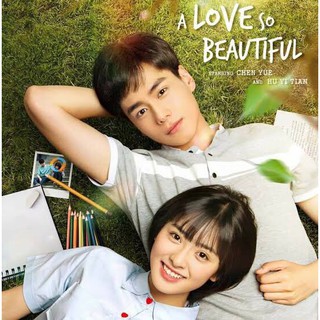 A Love So Beautiful (2017) รักนี้ยังงดงาม