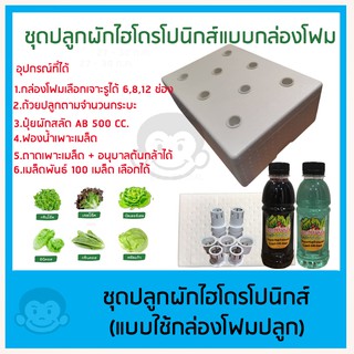 ชุดกล่องโฟมปลูกผักไฮโดรโปนิกส์ ปลูกผักไร้ดิน 6 ช่อง 8 ช่อง 12 ช่อง (ชุดคุณภาพ)