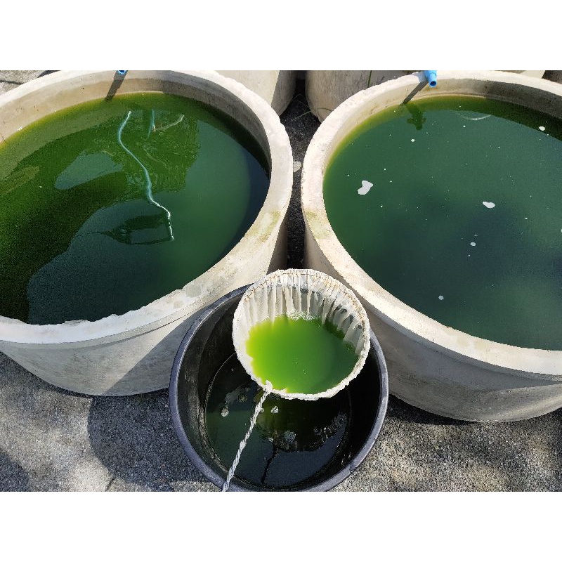 รูปภาพ 4