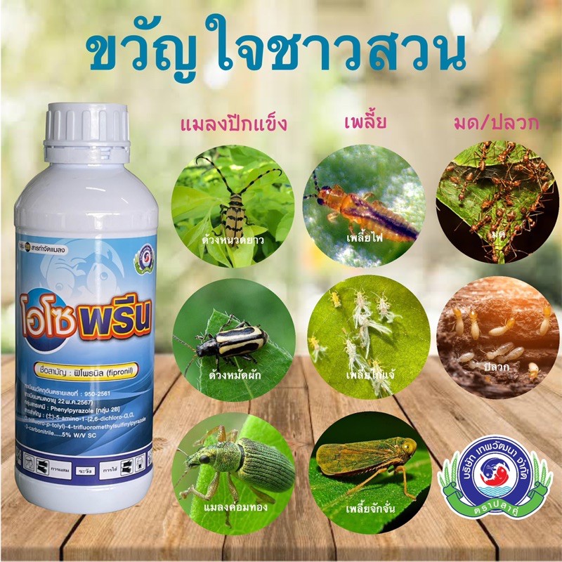 โอโซพรีน 1ลิตร ฟิโพนิล (Fipronil) 5% ยาฆ่าแมลงดูดซึม ถูกตัวตาย กินตาย ตระกูลเพลี้ย ด้วง แมลงปีกแข็ง 