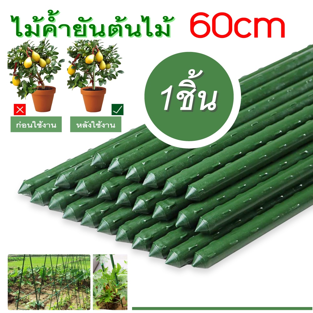 ไม้ค้ำยันต้นไม้ หลักไม้ค้ำ เสามะเขือเทศ ยาว 60-90 ซม. หนา 11มม. ซุ้มไม้ ไม้ค้ำต้นไม้ สำหรับยางอินเดีย ทนทาน กันปลวก