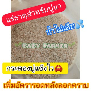 💥แร่ธาตุสำหรับปูนา​💥  สูตรกระดองปูแข็งไว​🦀 เพิ่มอัตราการรอดหลังลอกคราบ