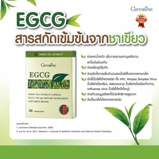 สารสกัดชาเขียวลดน้ำหนัก ควบคุมน้ำหนัก อีจีซีจี กิฟฟารีน | EGCG GIFFARINE