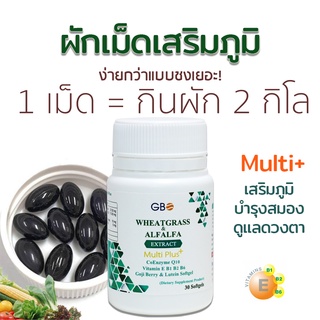 ผักเม็ดเสริมภูมิ Wheatgrass &amp; Alfalfa Extract Plus Q10