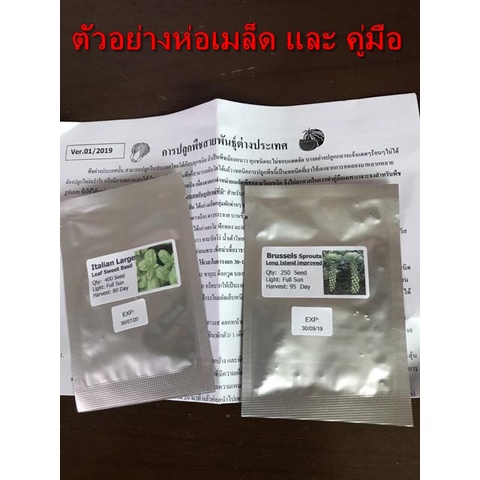 เมล็ด มอนิ่งกลอรี สีฟ้า - Heavenly Blue Morning Glory Flower
