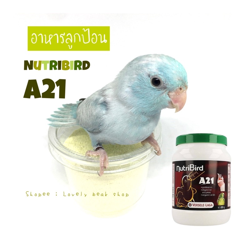 Nutribird A21 Verselelaga อาหารลูกป้อน อาหารลูกนก สำหรับนกทุกสายพันธุ์