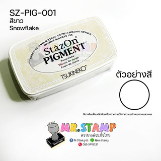 หมึกกันน้ำ ปั๊มพลาสติก Stazon Pigment