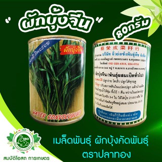 ผักบุ้งคัดพันธุ์ ผักบุ้งจีน เมล็ดพันธุ์ (ตราปลาทอง) 80กรัม