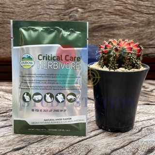 Oxbow Critical Care – Herbivore คริติคอล เเคร์ สำหรับสัตว์กินพืช ขนาด 36g