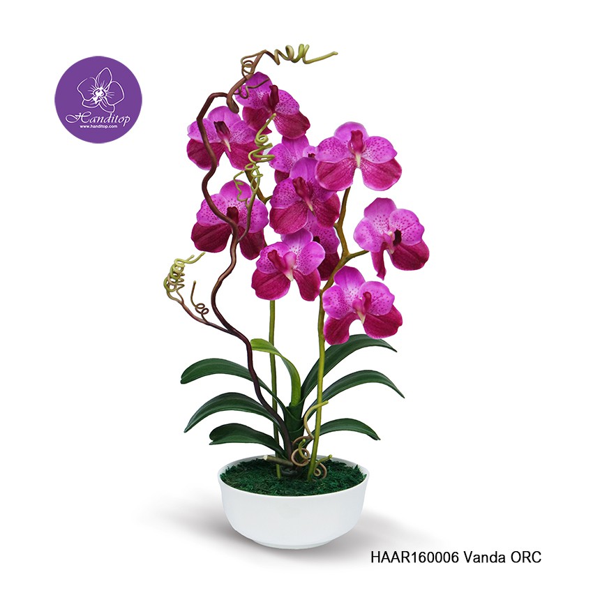 Handitop แจกันดอกไม้ประดิษฐ์กล้วยไม้แวนด้า สีออคิดในแจกันเซรามิค ใช้ตกแต่งสถานที่ให้ดูสวยงาม