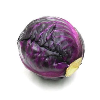 กะหล่ำปลีม่วงสด ๆ กะหล่ำม่วง กะหล่ำแดง(Purple Cabbage)