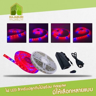 ไฟ LED สำหรับปลูกต้นไม้ พร้อม Adapter ( High Quality SMD5050 Plant Growth LED Strip)