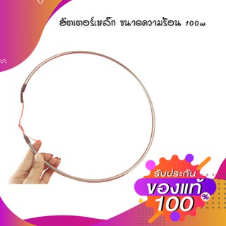 ฮีตเตอร์ทำความร้อน 100w 220v