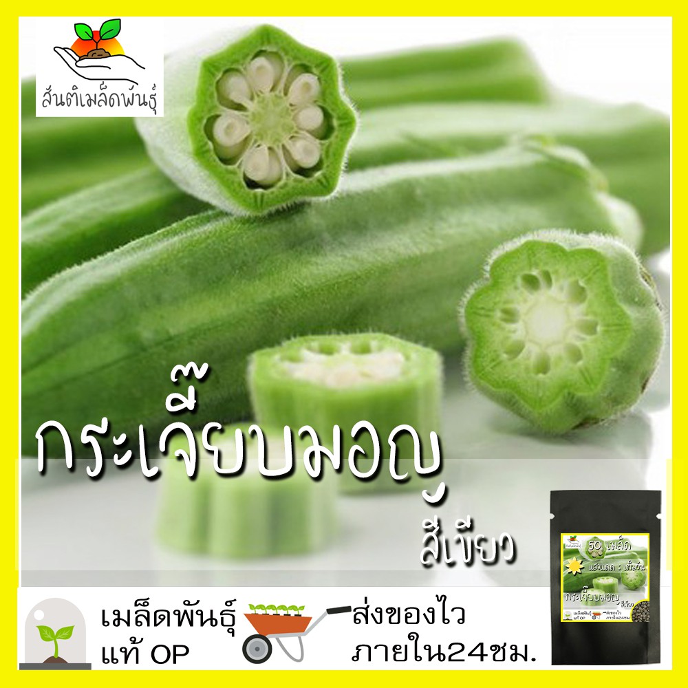 เมล็ดพันธุ์ กระเจี๊ยบเขียวคิมสัน 50 เมล็ด Clemson Spineless Okra Seed เมล็ดพันธุ์แท้100% นำเข้าจากต่างประเทศ กระเจี๊ยบ