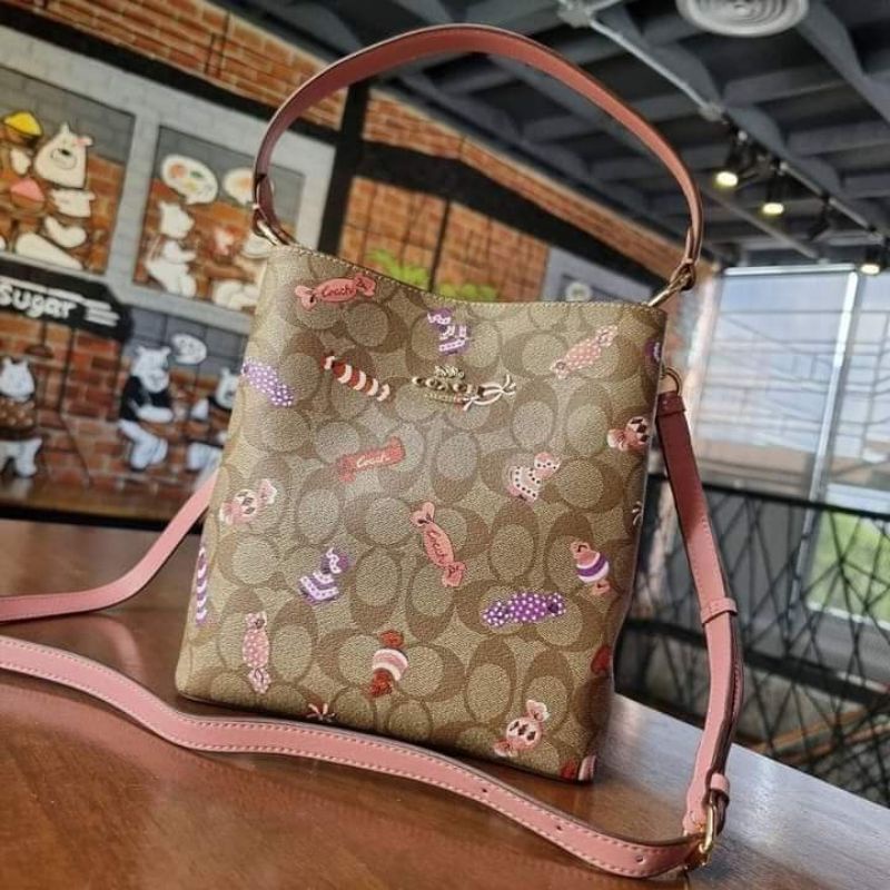 Coach Small Town Bucket bag in signature canvas with candy print