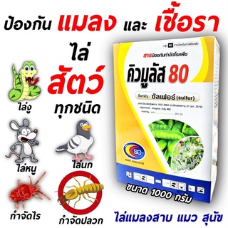 คิวมูลัส 1 กก 🔴 สารไล่งู ไล่หนู ไล่นก กำมะถันเนื้อทอง สิ่งที่กวนระบบหายใจของ งู หนู นกต่างๆ ปลอดภัยต่อคนและสิ่งแวดล้อม