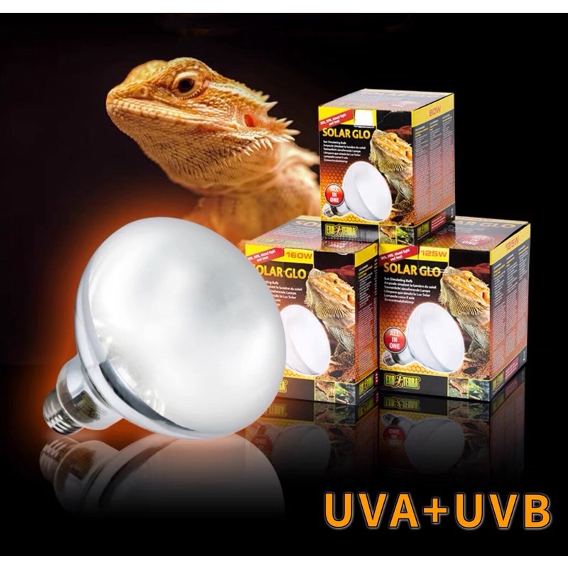 EXO TERRA SOLARGLO High Intensity SelfBallasted Uv/Heat