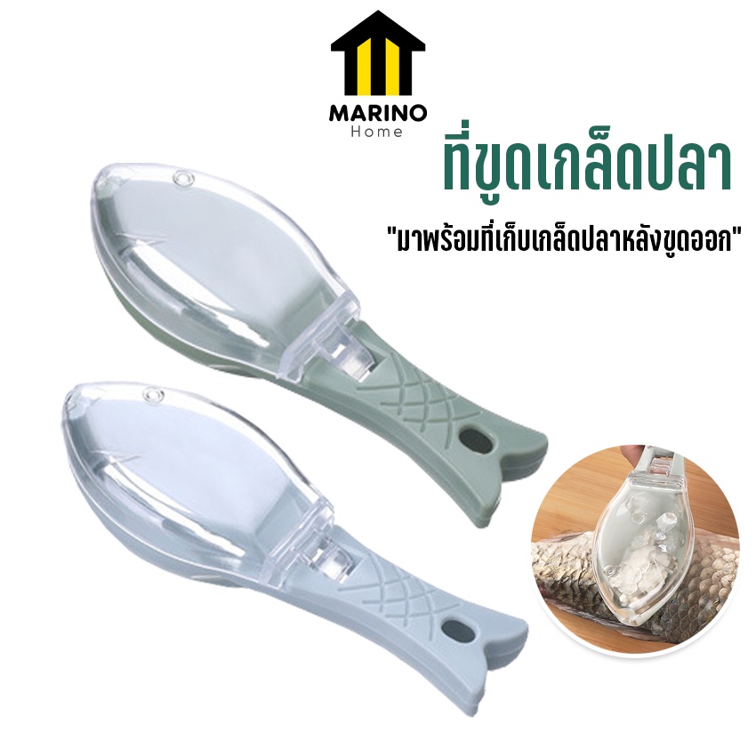 Marino Home (สินค้าพรีเมี่ยม!! ของแท้ 100%) ที่ขูดเกล็ดปลา ที่ข็อดเกล็ดปลา No.Y928