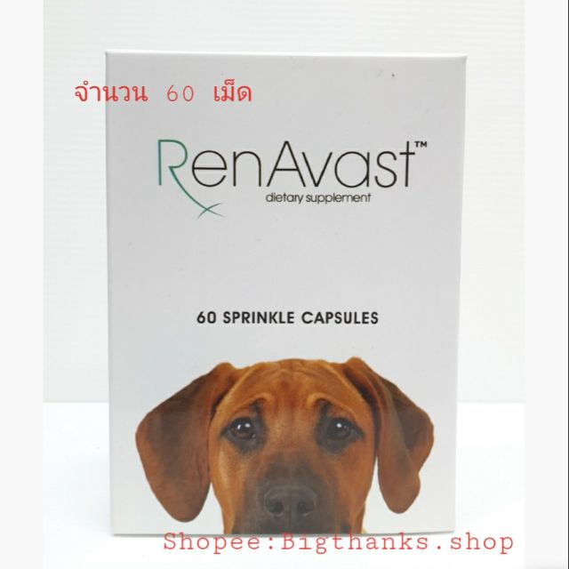 Renavast dog หมดอายุ 10/25 จำนวน 60 เม็ด สำหรับบำรุงไต