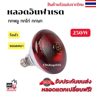 หลอดไฟอินฟาเรดกกไก่ กกหมู กกสัตว์ 250วัตต์ [แดงหนา] E27หลอดไฟให้ความอบอุ่น infrared bulb 250w