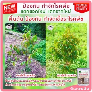 บีเอสพลัส50G กำจัดโรคเน่าทุเรียน พืชทุกชนิด เชื้อราโรคพืช รากเน่าโคนเน่า ไฟทอปธอรา ใบเหลือง ใบไหม้