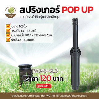 สปริงเกอร์ ป๊อปอัพ POP UP หัวฉีดเล็กสูง ขนาด 6 นิ้ว เกลียวใน 1/2" สปริงเกอร์สนาม - โตไว