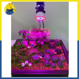 หลอดไฟปลูกต้นไม้ Grow Light Full Spectrum Indoor