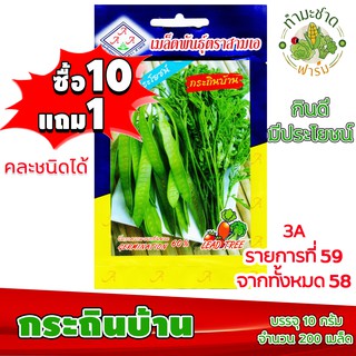 (ซื้อ10แถม1) เมล็ดพันธุ์ กระถินบ้าน Lead Tree ประมาณ 200เมล็ด 3A สามเอ ผักสวนครัว เมล็ดพันธุ์พืช เมล็ดผัก เม็ดผัก พืชผัก