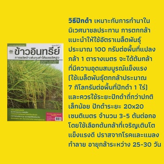 หนังสือเกษตร ข้าวอินทรีย์การผลิตข้าวต้นทุนต่ำให้ผลผลิตสูง : หลักการผลิตข้าวอินทรีย์, ใช้พิษของพืชควบคุมแมลงศัตรู