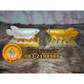 ปลาถวายองค์เทพ ปลาเงิน ปลาทอง คู่ละ149.-