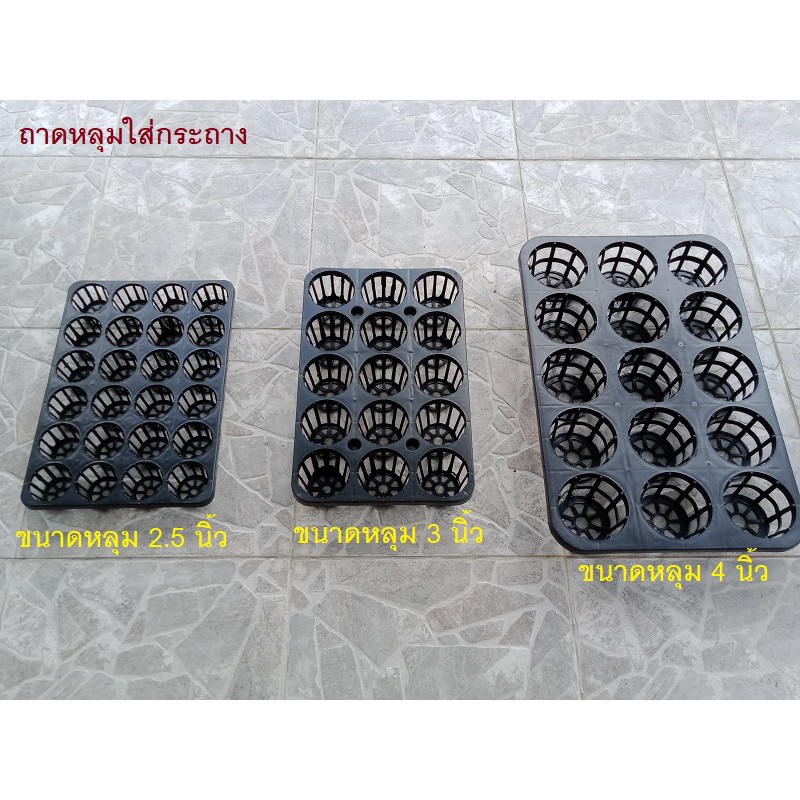ถาดพลาสติกหลุม ใส่กระถาง 2.5, 3 และ 4 นิ้ว (ขายแพ็ค 2 และ 4 ถาด ขึ้นอยู่กับขนาด)