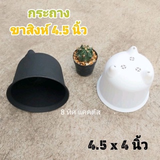 กระถาง ขาสิงห์ ใหญ่ // กด 100 ใบ 1500 บาท -- กระถาง 4.5 นิ้ว -- กระถางพลาสติก แคคตัส กระบองเพชร