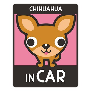 สติ๊กเกอร์ติดรถยนต์ BOA382 สติกเกอร์ติดรถ chihuahua in car สติ๊กเกอร์ติดรถสวยๆ Sticker