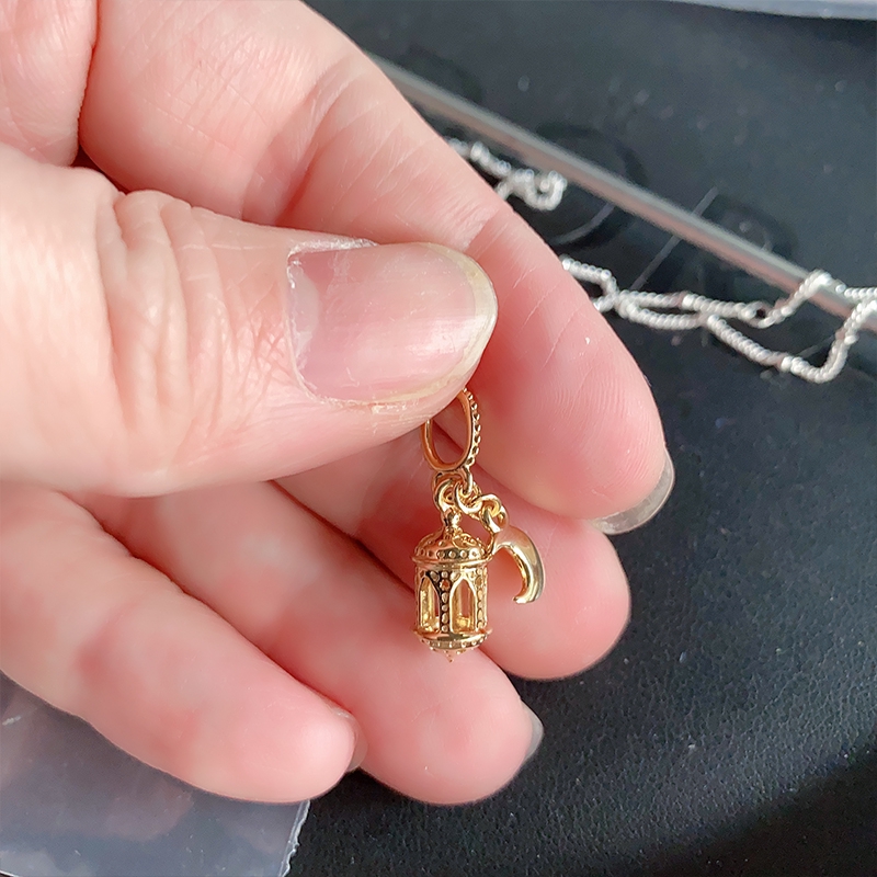 100 pandora ara โคมไฟแบบห้อย 768767 c 00 s 925 สีเงิน