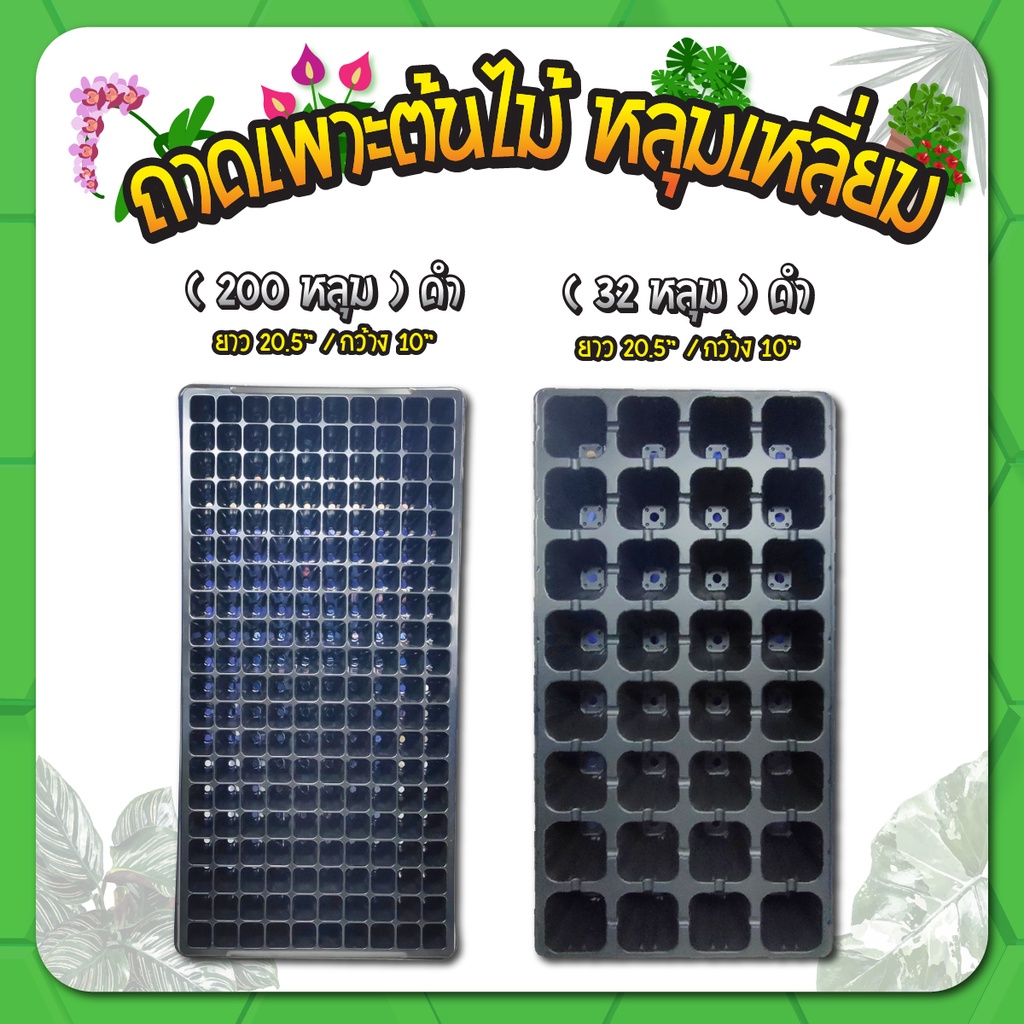 ถาดเพาะต้นอ่อน ถาดเพาะชำ ถาดเพาะเมล็ด แบบหลุมเหลี่ยม 32 / 200 หลุม