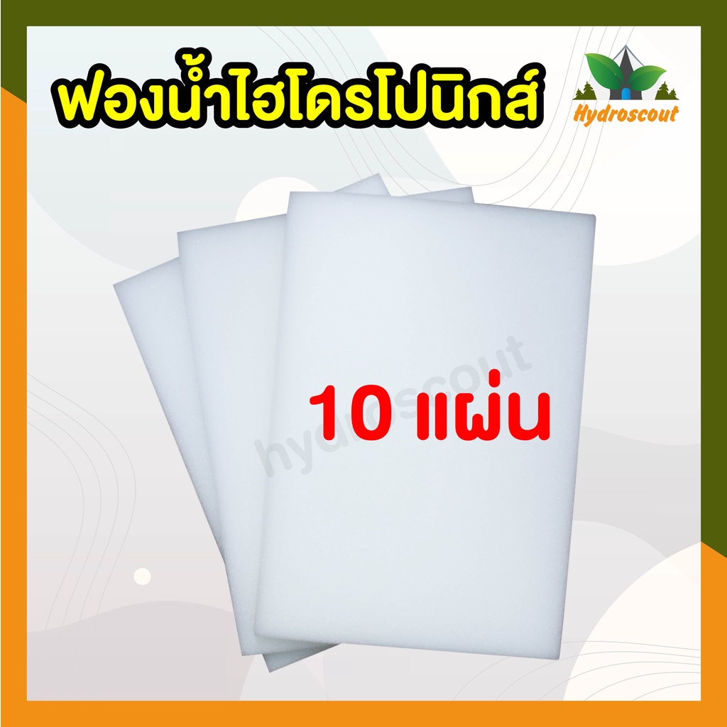 ฟองน้ำปลูกผักไฮโดรโปนิกส์คุณภาพดี 10 แผ่น by hydroscout