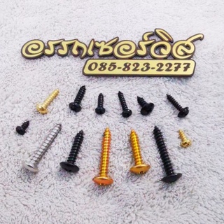 สกรูงานลำโพง​บูทูธ​ 1/4-1