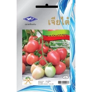 เจียไต๋ CTOP เมล็ดพันธุ์ มะเขือเทศสีดา ประมาณ630เมล็ด ตราเจียไต๋ Tomato