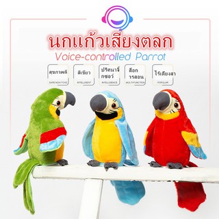 ✉[พร้อมส่ง] นกแก้วพูดได้ ของเล่นเด็กอัดเสียง ตุ๊กตานกแก้วพูดตาม พูดได้ทุกภาษา พูดตามได้ทุกภาษา