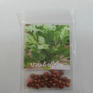 ปวยเล้งยักษ์🌱ญี่ปุ่น🎯ถูกที่สุด10บ.🎯30 เมล็ด🎈งอกง่าย🌱โตไว☘️ใบใหญ่มาก🌱ทานอร่อย