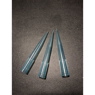 BLUE TIP / pipette tip 500 ชิ้น/แพ็ค (non sterile)