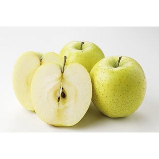 20 เมล็ด เมล็ดแอปเปิ้ล สายพันธุ์ แอปเปิล โอริง  Apple seeds