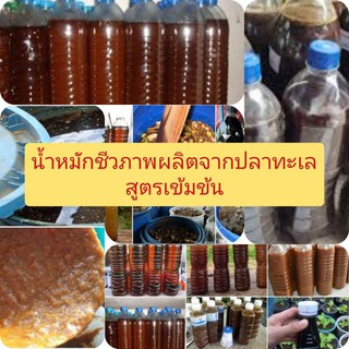 น้ำหมักปลาทะเลสูตรเข้มข้นเร่งการเจริญเติบโต