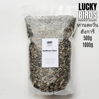 เมล็ดทานตะวันฮังการี่ Sunflower seed สำหรับนก นกแก้ว สัตว์เล…